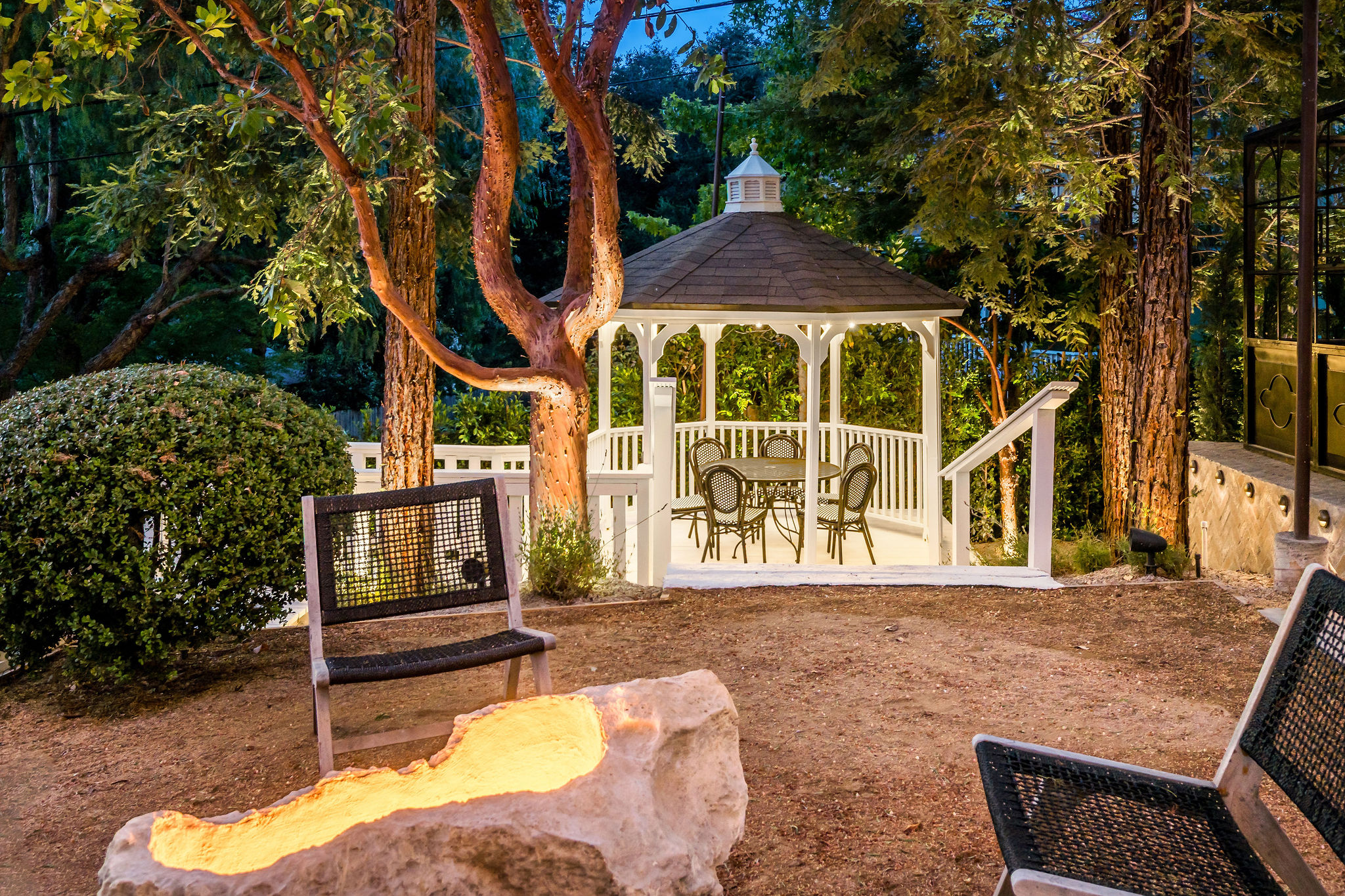 The white garden gazebo glowing at dusk beneath the redwoods
